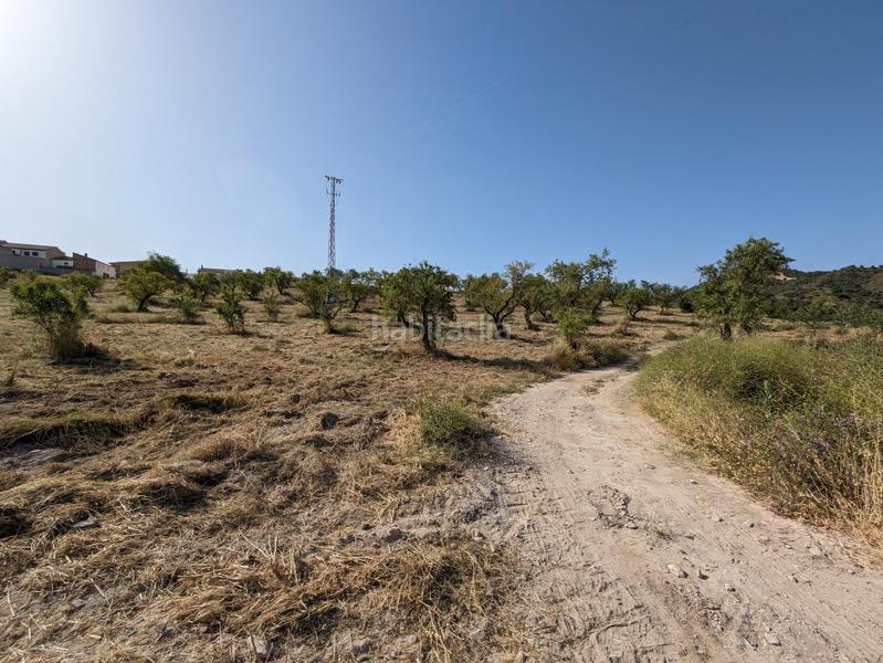 Foto 4a505c20-b985-4b5f-8acd-855c541c5ad7. Terreno residenziale in extrarradio in Jayena