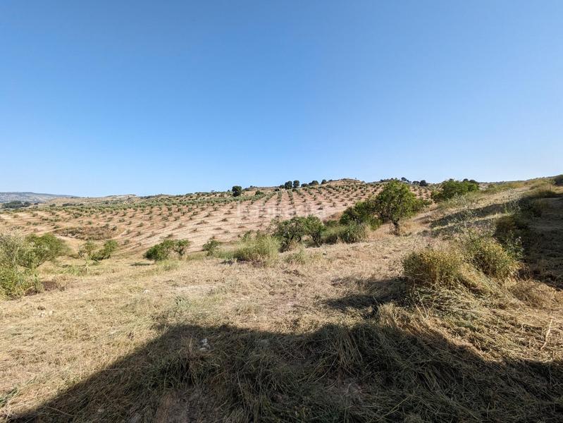 Foto 76804348-34cf-49cf-86f2-1b865d974f21. Terreno residenziale in extrarradio in Jayena