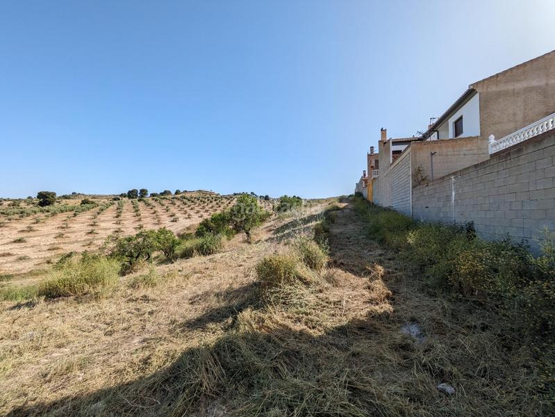 Foto 77485e9f-1b13-4804-992b-eace21204cae. Terreno residenziale in extrarradio in Jayena