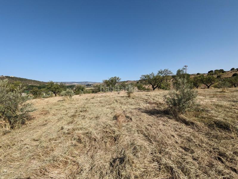 Foto aba2727a-e020-477b-a2c5-7a643ab5a7c6. Terreno residenziale in extrarradio in Jayena