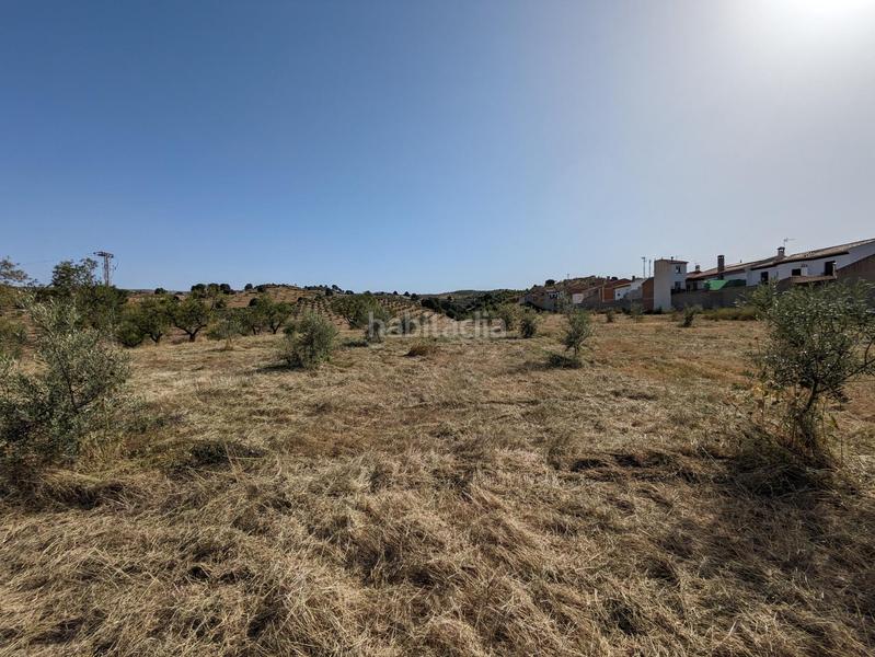 Foto c135f81c-c5cf-4362-b8cb-a3da52da6796. Terreno residenziale in extrarradio in Jayena