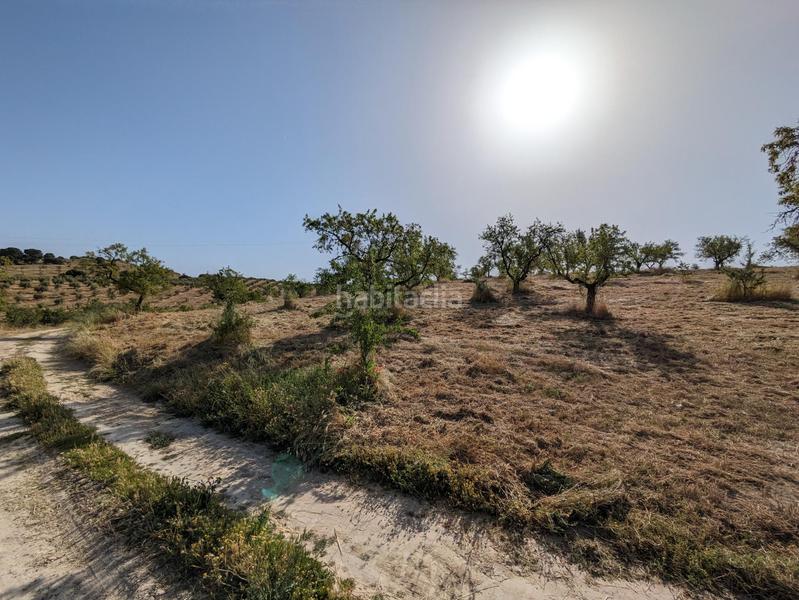 Foto e0e3e041-82fe-4d60-a7d6-a3431b366fa5. Terreno residenziale in extrarradio in Jayena