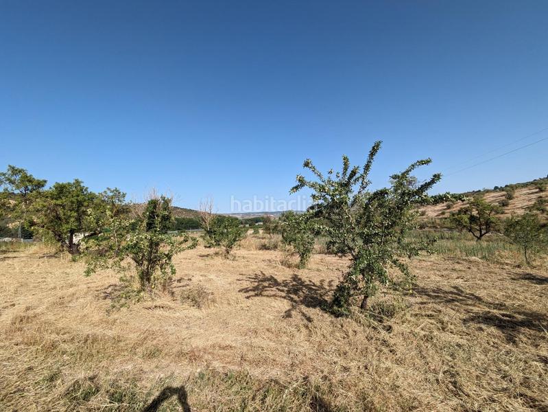 Foto fa75a75b-8fcf-4f16-bbc6-36c06a0d6988. Terreno residenziale in extrarradio in Jayena