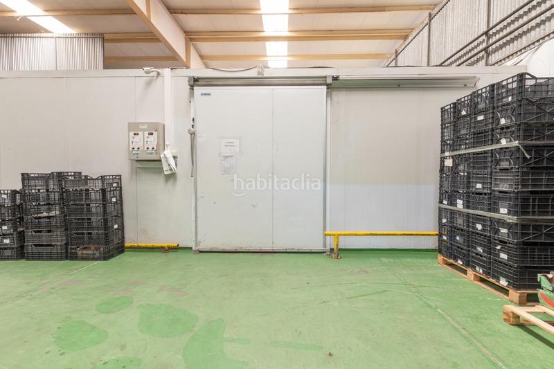 Foto 648d0c03-583b-4925-b694-685910ecff76. Bâtiment à usage industriel dans Almuñecar centro Almuñécar