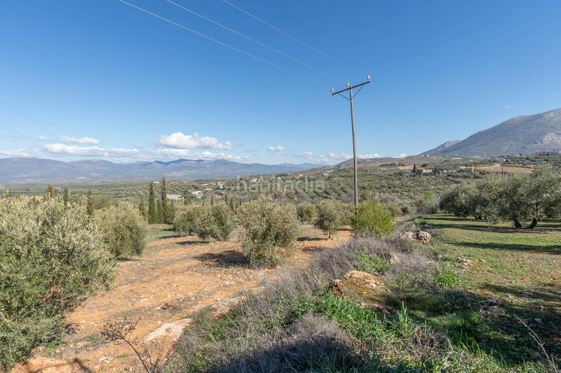 Foto 7c3a374d-9fb7-4057-9a41-10ed89428480. Rural plot in Cogollos de la Vega