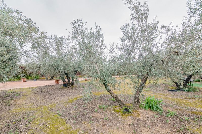 Foto 59f1553a-e0fa-4581-93fe-db58dbd1f072. Finca rústica a Ogíjares