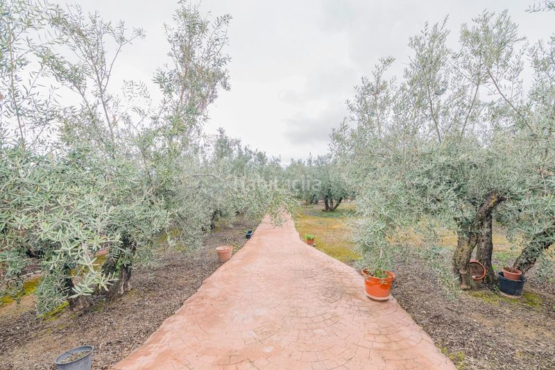 Foto 5bdaf6f2-47b9-4fff-b9e4-baa9e4760267. Finca rústica a Ogíjares