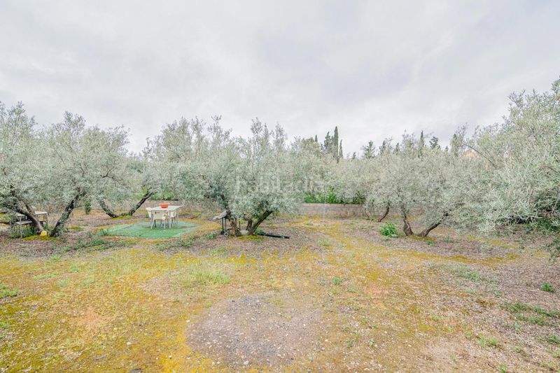 Foto b5f3a5c4-b7e4-4ff2-b947-d31fe6e368b7. Finca rústica a Ogíjares