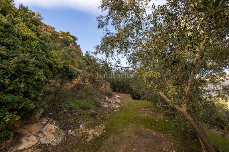 Foto 082a9c20-6214-4353-b5fb-57650b69c425. Finca rústica a Pinar (El)