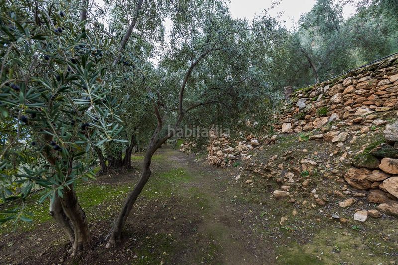 Foto 0d64f108-50c9-49dc-8886-66927a8d3d89. Finca rústica a Pinar (El)