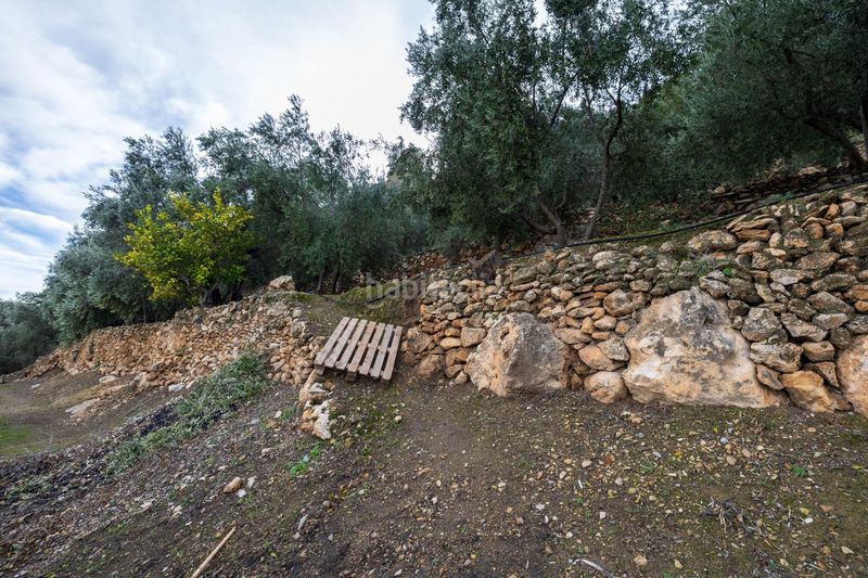 Foto 471a6c1f-ca21-4603-a982-f4232f0fc641. Finca rústica a Pinar (El)