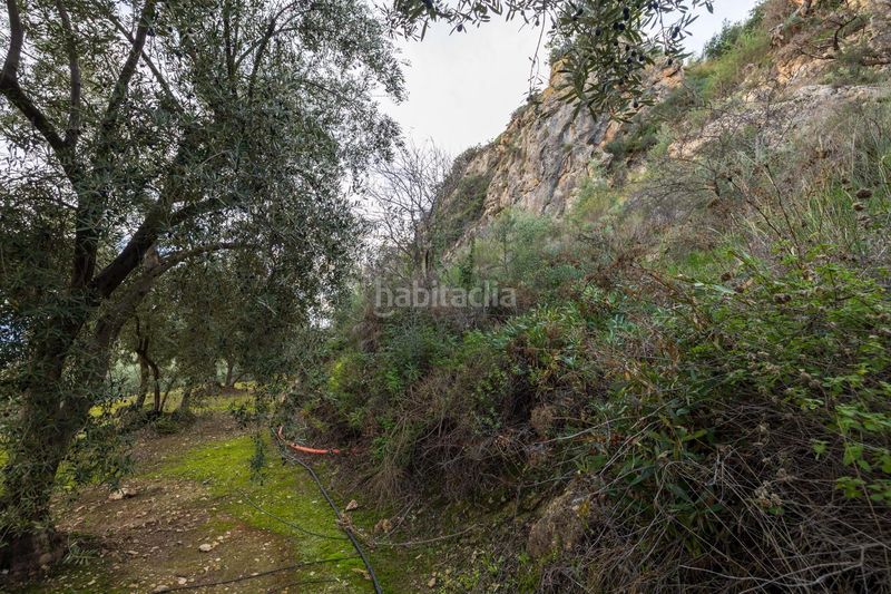 Foto 622ca093-30fa-4a10-a6e1-d5172299870e. Finca rústica a Pinar (El)