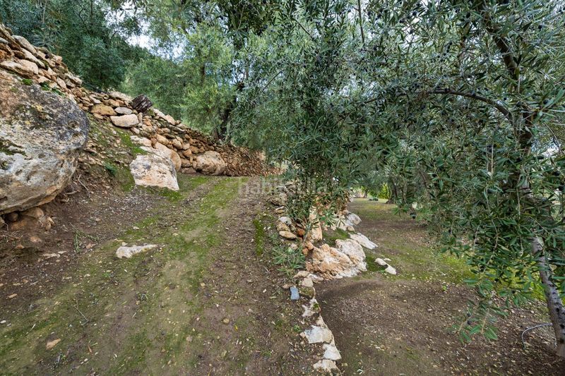 Foto 823d80f6-1750-4e23-a14e-499b2c39b69e. Finca rústica a Pinar (El)