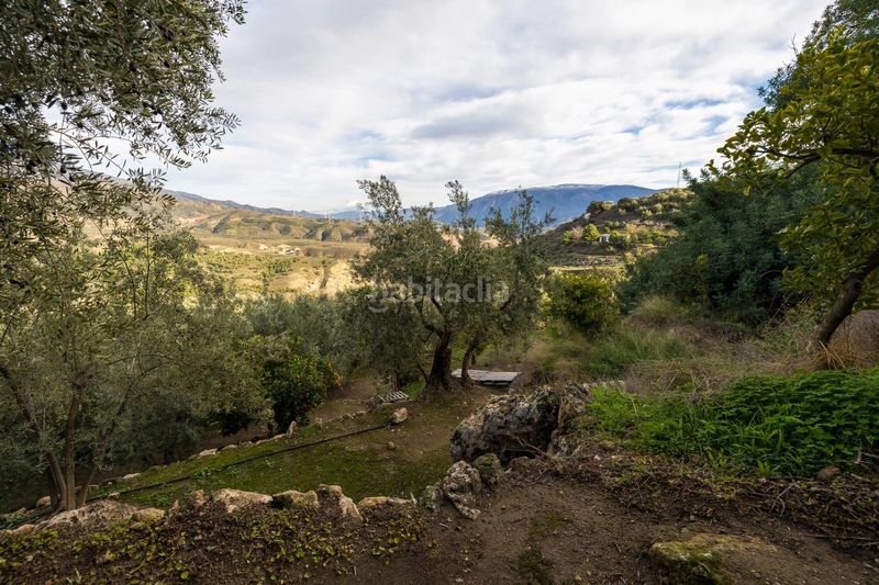 Foto cb38f53c-1e59-44c4-98f7-e02d93a1ecb4. Finca rústica a Pinar (El)