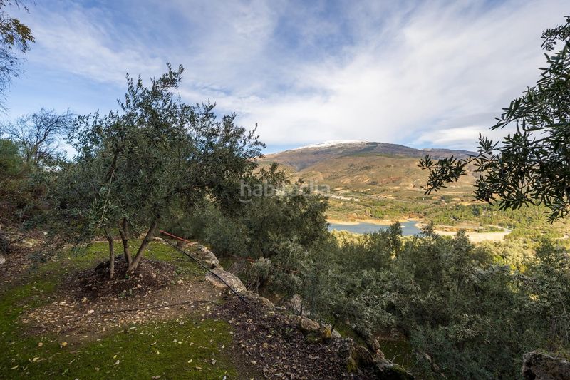 Foto d57b507f-a8e4-42ac-b57c-083dd303eb87. Finca rústica a Pinar (El)