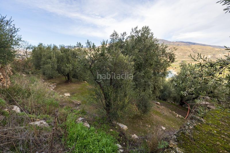 Foto d8d3cac5-bd2f-49c8-9863-d38c3fab47a0. Finca rústica a Pinar (El)