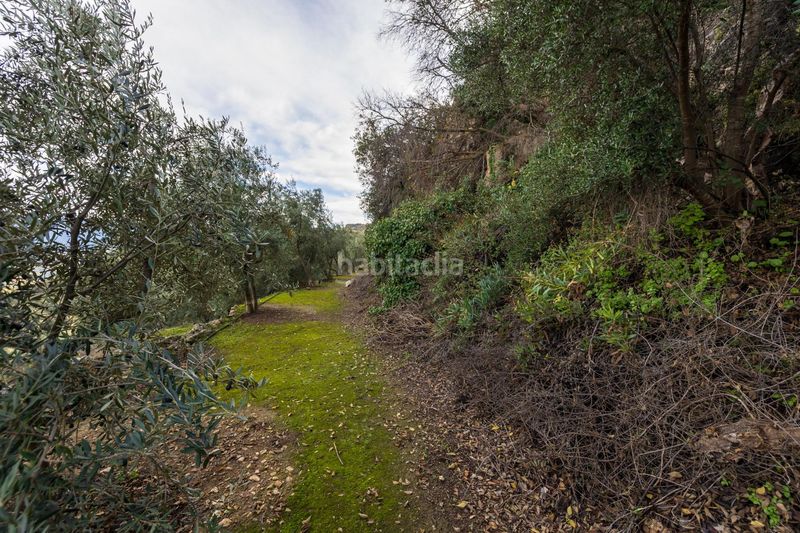 Foto fdbdb984-3f64-4704-a9d7-08956754d11b. Finca rústica a Pinar (El)