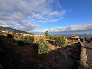 Terreno residencial  N/a. Terreno en la orotava