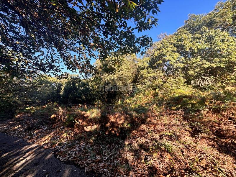Foto ee89caf4-e86b-4e15-9d0d-a72d02745f99. Finca rústica a La Perdoma - San Antonio - Benijos Orotava (La)