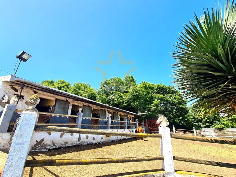 Foto d80de895-d566-4767-b665-58edf148f64b. Casa finca rústica en la perdoma en El Bebedero - Pinolere - Aguamansa Orotava (La)