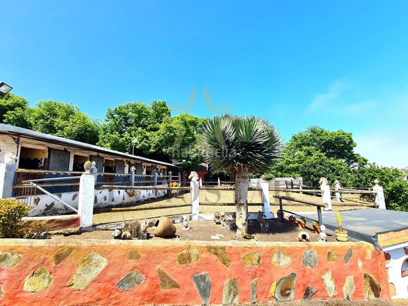 Foto e2b60614-2eaf-49f8-a7bc-9285c8213391. Casa finca rústica en la perdoma en El Bebedero - Pinolere - Aguamansa Orotava (La)
