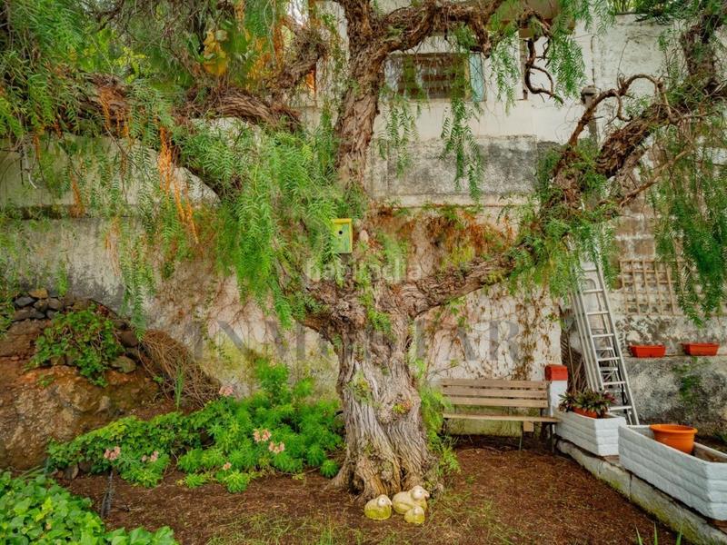 Foto afe04173-eb1d-4d20-83b3-4ad3ef042b4e. Maison avec piscine dans Sauzal (El)