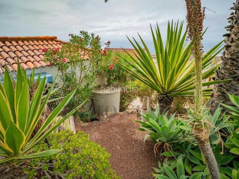 Foto f41e1bf2-d68e-45ee-ab8e-3878feb4a12e. Maison avec piscine dans Sauzal (El)