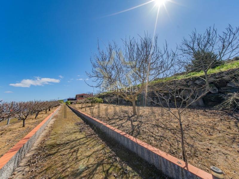 Foto 150a9d6f-c56a-4417-8544-ec206fecbb10. Chalet con parcheggio in Montaña - Zamora Realejos (Los)