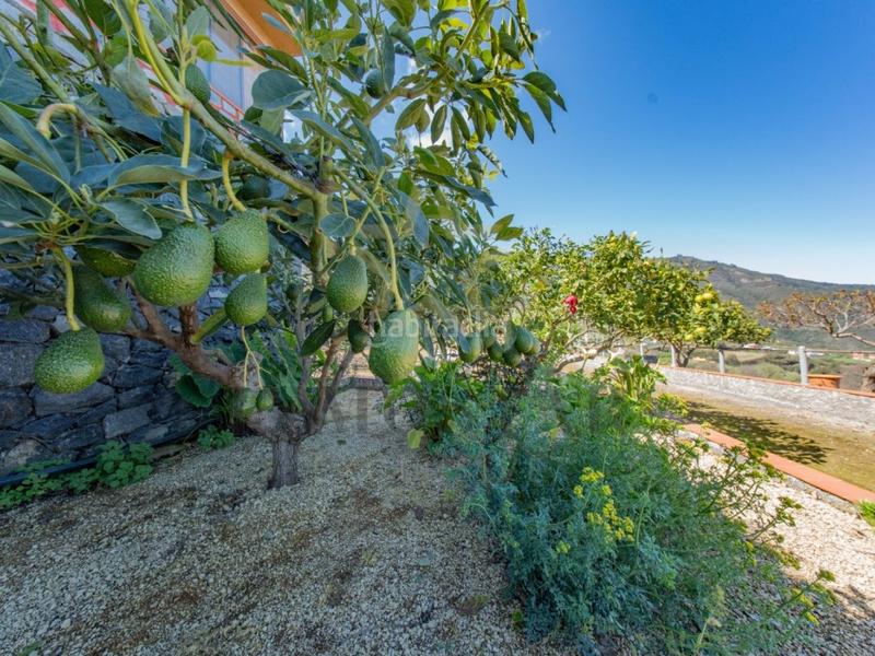 Foto 17c7693a-9b62-4b85-a333-204ab6b79ef5. Chalet con parcheggio in Montaña - Zamora Realejos (Los)