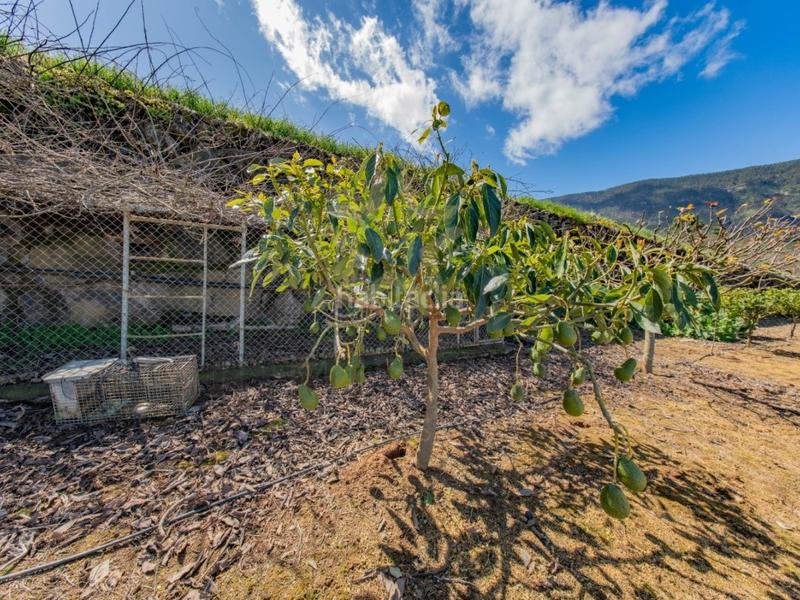 Foto e43fc2d4-2fc9-41d2-994f-afd19963bcd4. Chalet con parcheggio in Montaña - Zamora Realejos (Los)