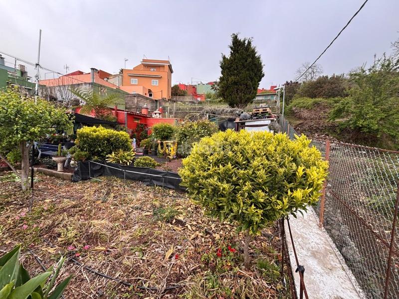 Foto 27eee629-8e72-4126-846c-35074447fe6f. Masía casa terrera en el bebedero, la orotava en El Bebedero - Pinolere - Aguamansa Orotava (La)