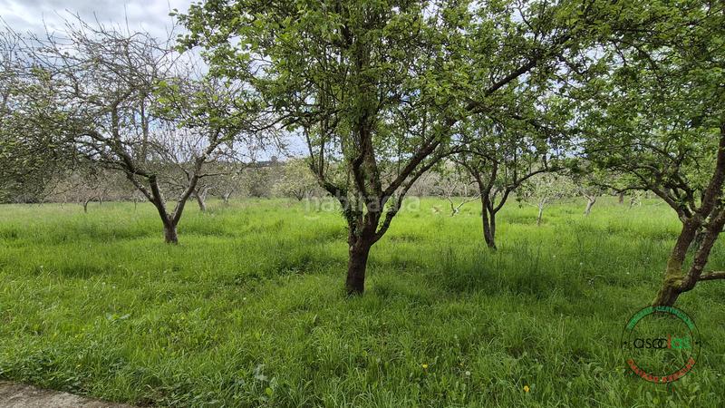 Foto 1f720be4-3e82-4579-badb-f9217d3bef9c. Casa con riscaldamento parcheggio in Tazones - Argüero Villaviciosa