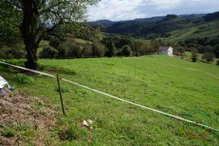 Terreno residenziale  Gijón - camin de la raposa, cenero. Parcelas edificables  en cenero