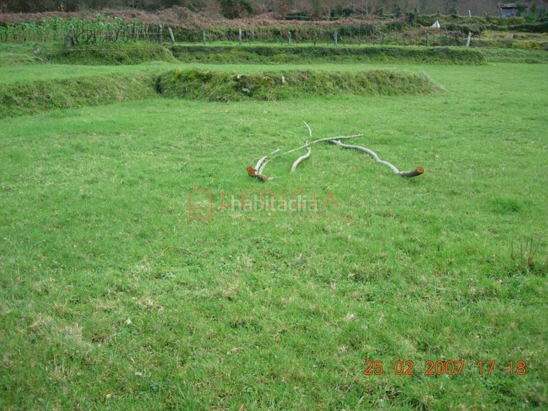 Foto 1cbb3e30-a3ec-40b1-8beb-eab99d55687a. Terreny residencial a Crecente