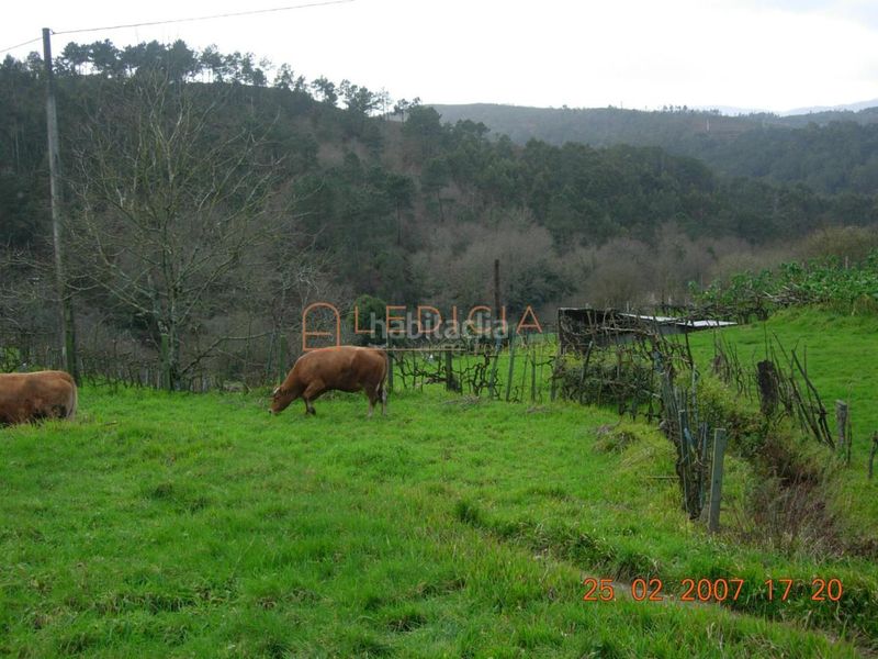 Foto 21695789-203e-4792-803b-c9e83bf22ddb. Terreny residencial a Crecente