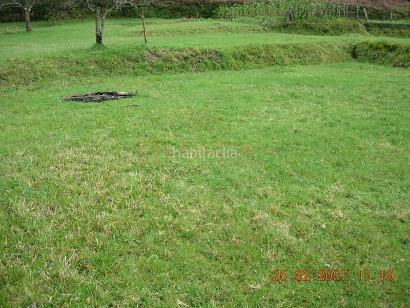 Foto 4ffe7e9e-9f2c-46f8-adc6-64294cfcaa26. Terreny residencial a Crecente