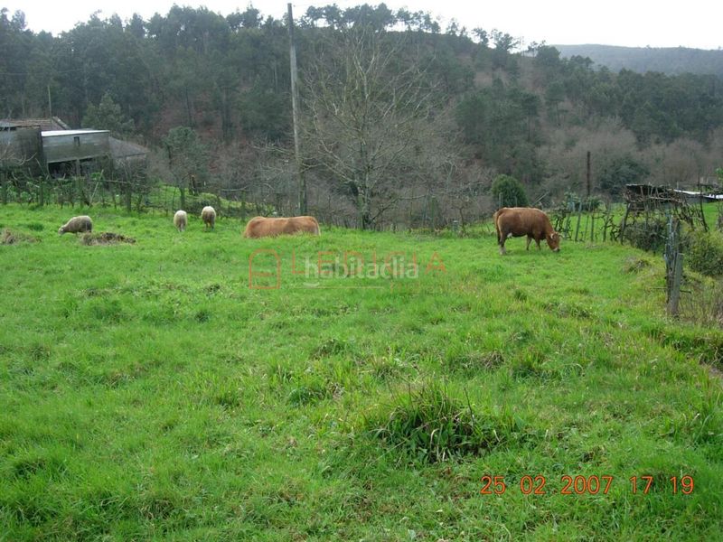 Foto 982c9a2e-a363-4abd-820c-05e640abf0c5. Terreny residencial a Crecente