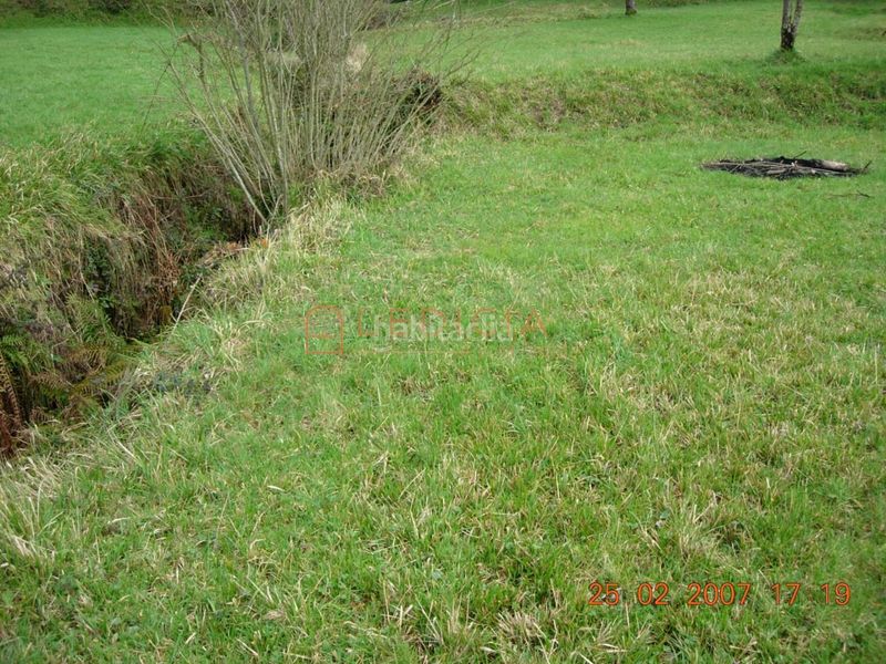 Foto a1a8d1ec-4381-4232-94ba-85e31c61e05e. Terreny residencial a Crecente