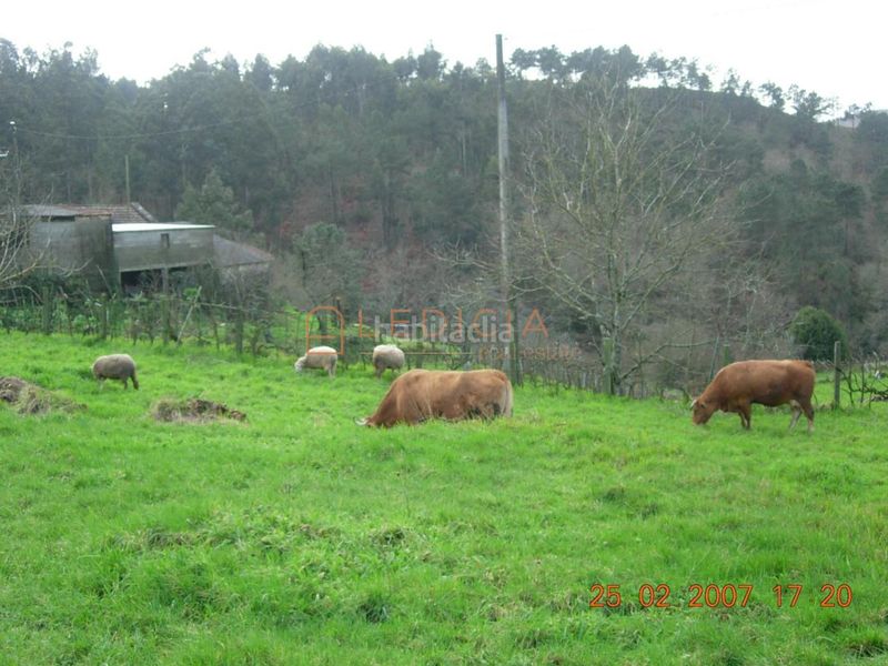 Foto cee918a8-0d8f-446d-8abf-38a677a2861e. Terreny residencial a Crecente