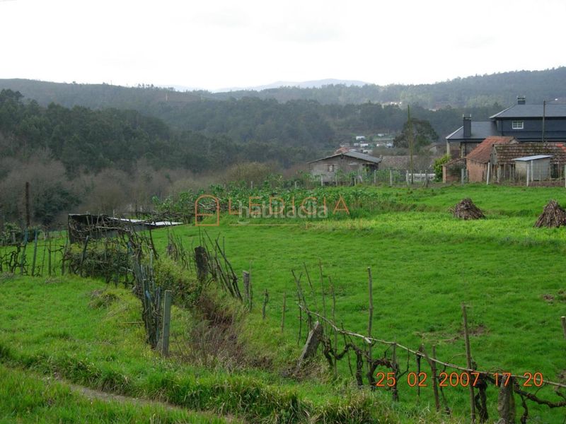 Foto cf45a063-a3a8-48c6-b3d5-f56da5aa6bf7. Terreny residencial a Crecente