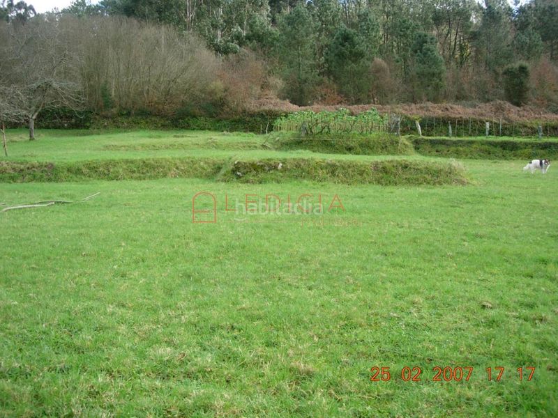 Foto d2eea63b-a10e-4bf3-9e3d-2281ad85bd4f. Terreny residencial a Crecente