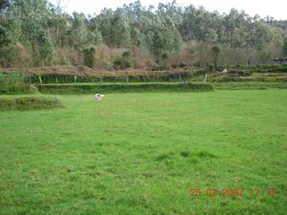Terreno residenziale in Crecente