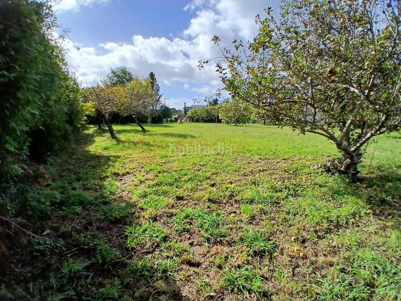 Foto 31be8a57-4687-4099-b20e-36dba8af99a6. Terreno residencial en avenida de lugo 77 en Coiro Cangas