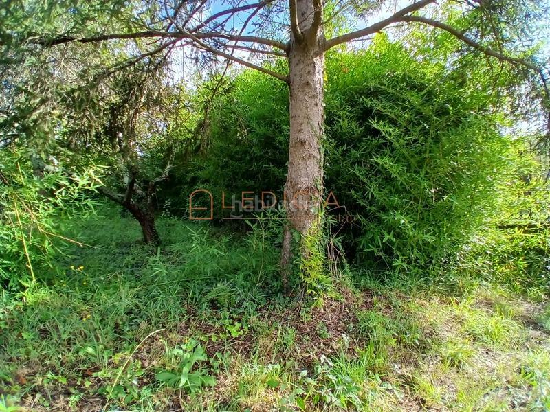 Foto f3d2f04f-ae9e-4a10-acc7-5f0227e1da55. Terreno residencial en avenida de lugo 77 en Coiro Cangas