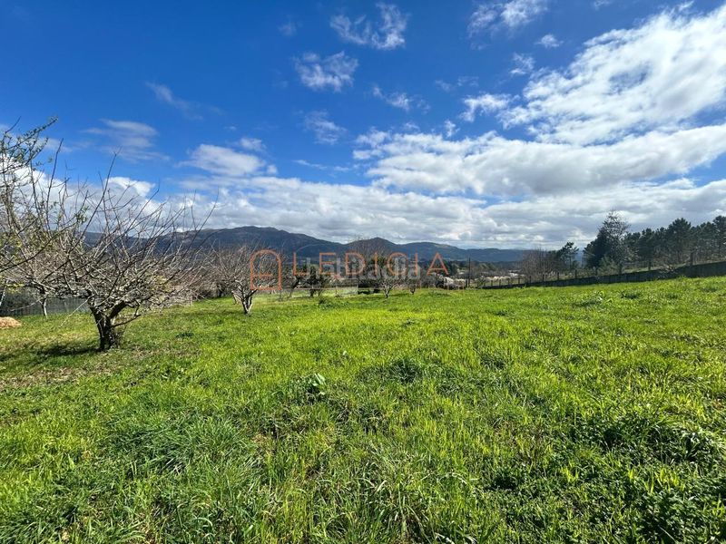 Foto 0a30e472-291e-416b-b211-dffd0aea4399. Finca rústica a camiño do penedo a Redondela