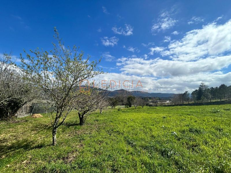 Foto 1d6f845e-befc-4c3a-b03a-5d2b489f0543. Finca rústica a camiño do penedo a Redondela