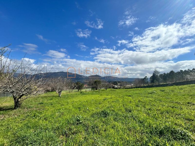 Foto 4418c0ea-d93e-44ff-b300-ed743bbe621b. Finca rústica a camiño do penedo a Redondela
