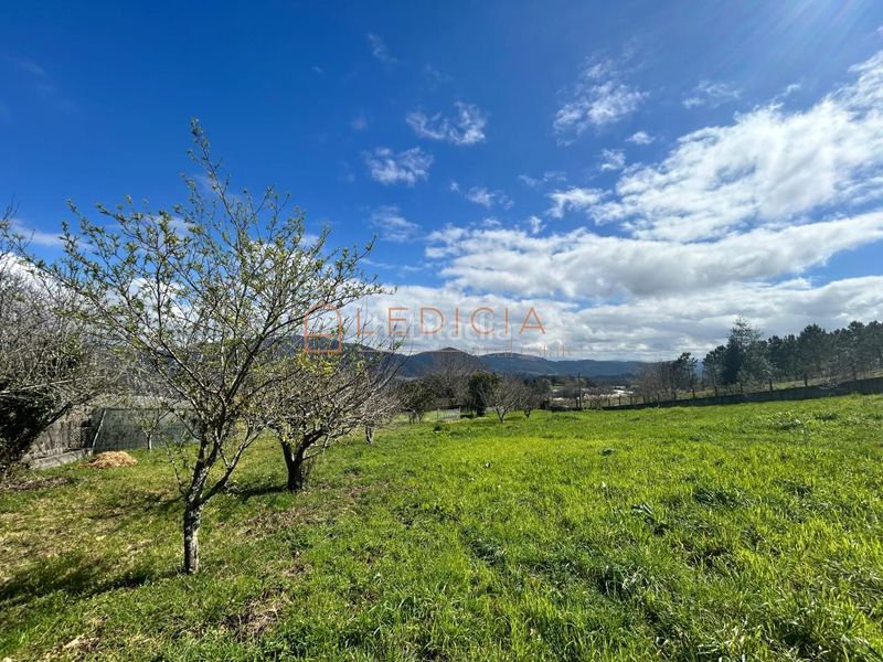 Foto b2f3a54a-4a02-478c-bac2-b3dafc37775a. Finca rústica a camiño do penedo a Redondela