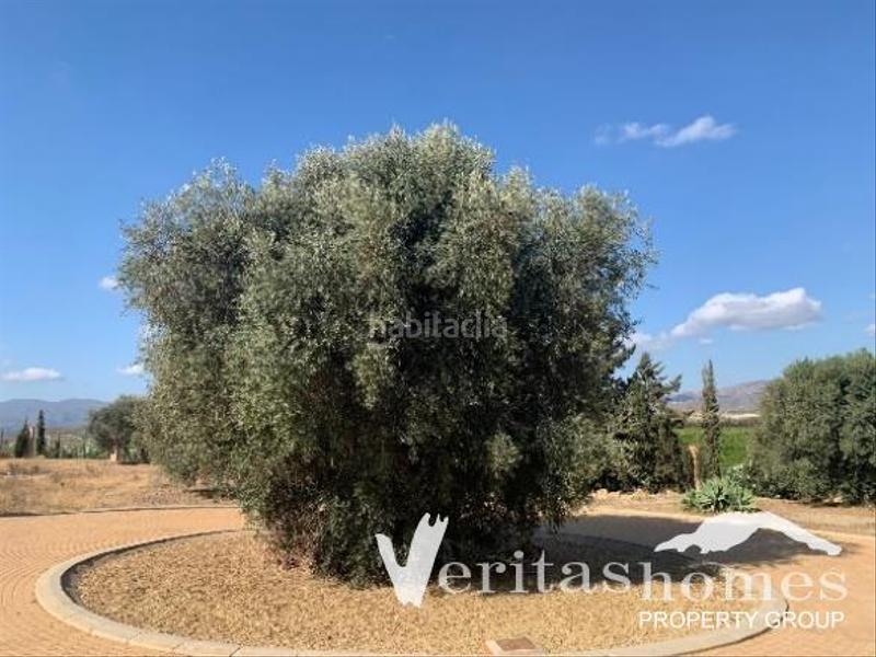 Foto 01e32698-d154-4699-8a9a-f6c3470a7e06. Haus in Vera ciudad Vera