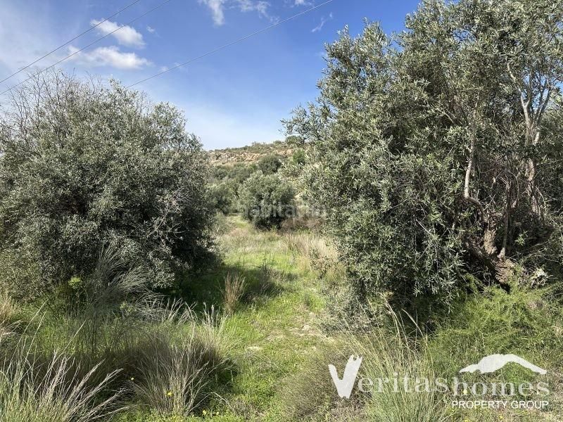Foto 45d5e2e0-a5ac-4916-9b6d-2044f509235b. Casale in Gallardos (Los)